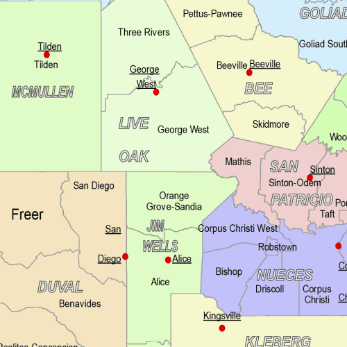 Texas-subcounty-detail