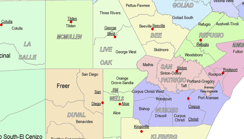Texas-subcounty-detail