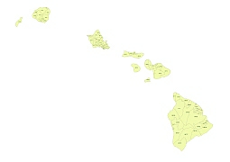 Prewiew of Hawaii State zip codes vector map