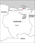 Suriname free vector map