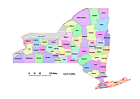 New York state county vector map, colored.
