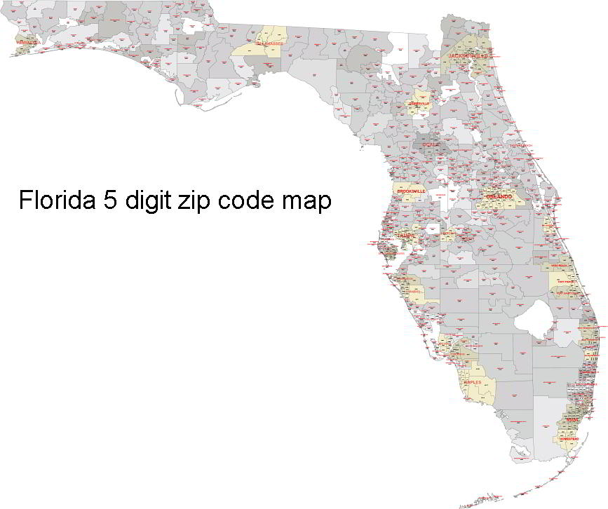 Florida zip code vector map
