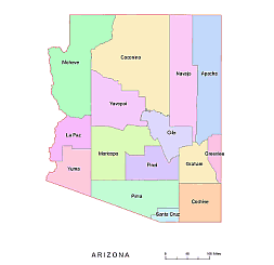 Preview of Arizona county vector map, colored.