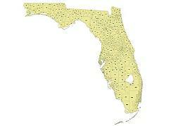 Your-Vector-Maps.com Preview of Florida State zip codes vector map. AI, PDF,