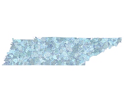 Tennessee state 5 digit zip code Illustrator artwork,with county layer