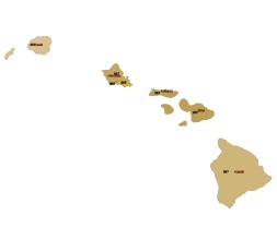 Your-Vector-Maps.com Hawaii 3 digit zip code and county vector map