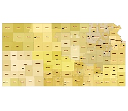 Kansas 3 digit zip code & county vector map. Preview image.