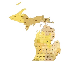 Michigan three digit zip code  and county map.Preview.