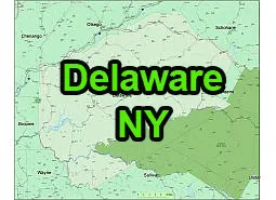 US-NY-Delaware-county-map